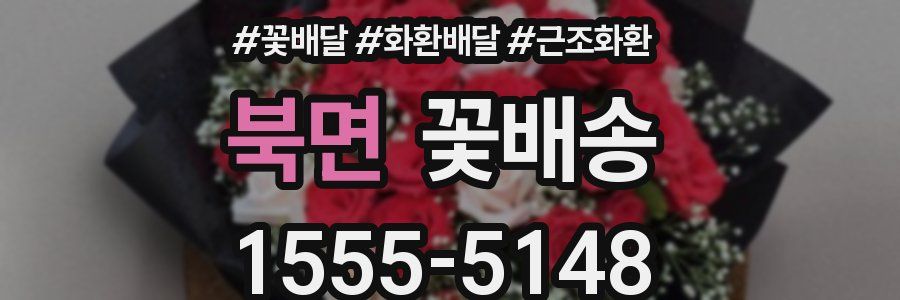 북면 꽃배송