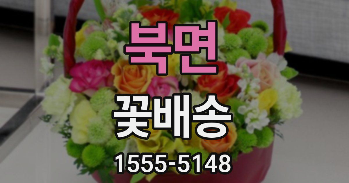 북면 꽃배송