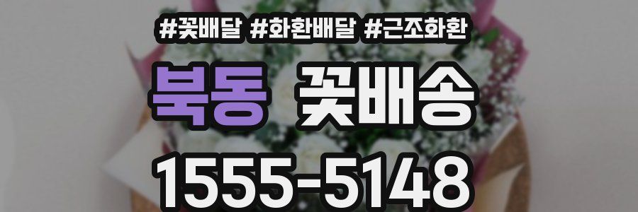 북동 꽃배송