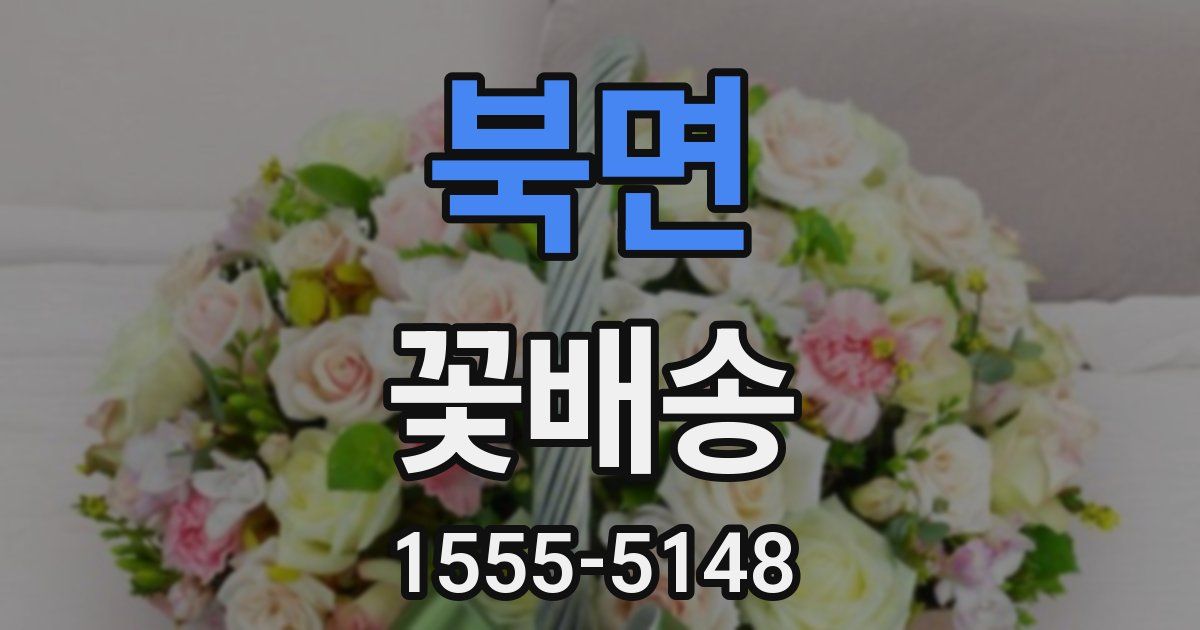 북면 꽃배송