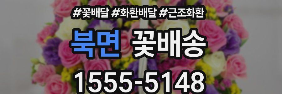 북면 꽃배송