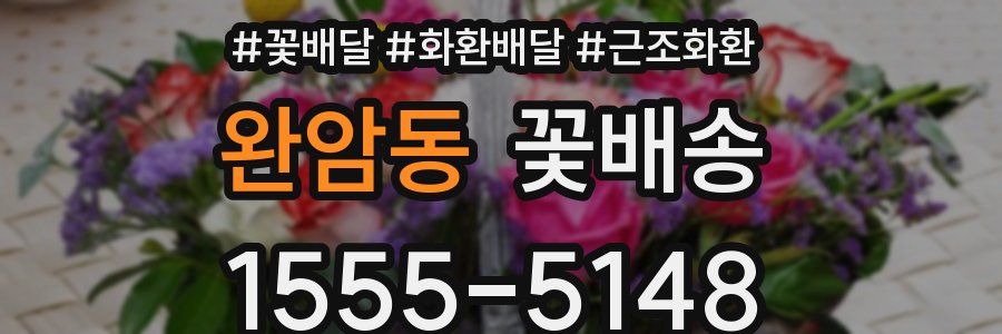완암동 꽃배송