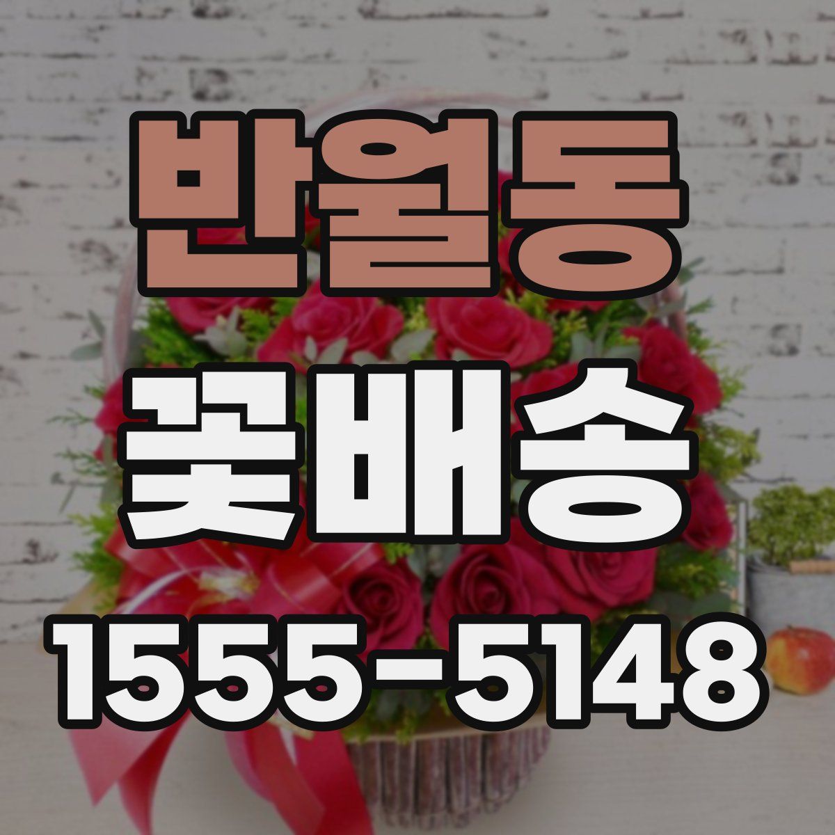 반월동 꽃배송