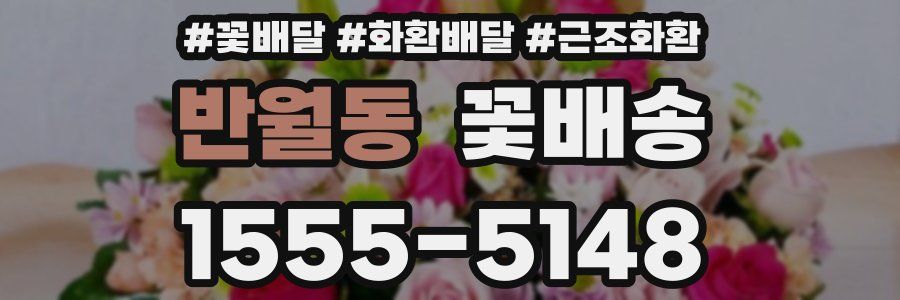 반월동 꽃배송