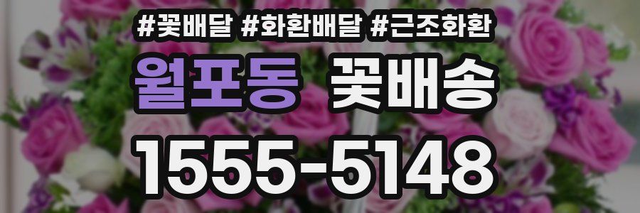 월포동 꽃배송