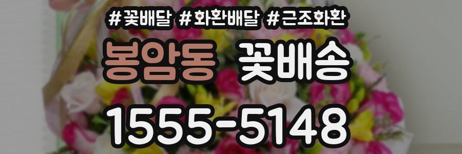 봉암동 꽃배송