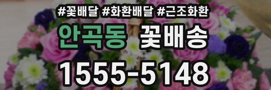 안곡동 꽃배송