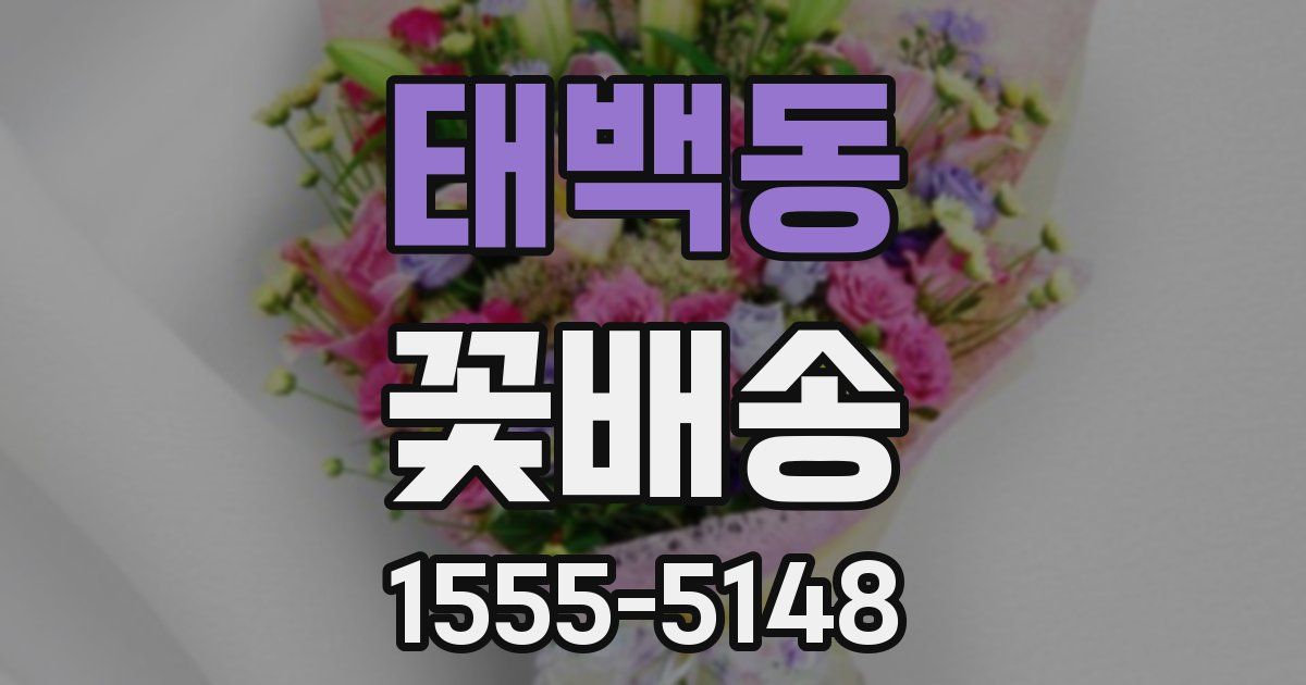 태백동 꽃배송