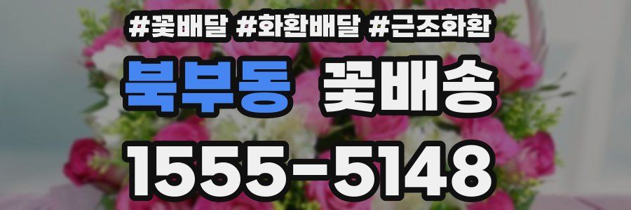 북부동 꽃배송