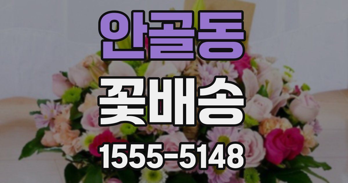 안골동 꽃배송