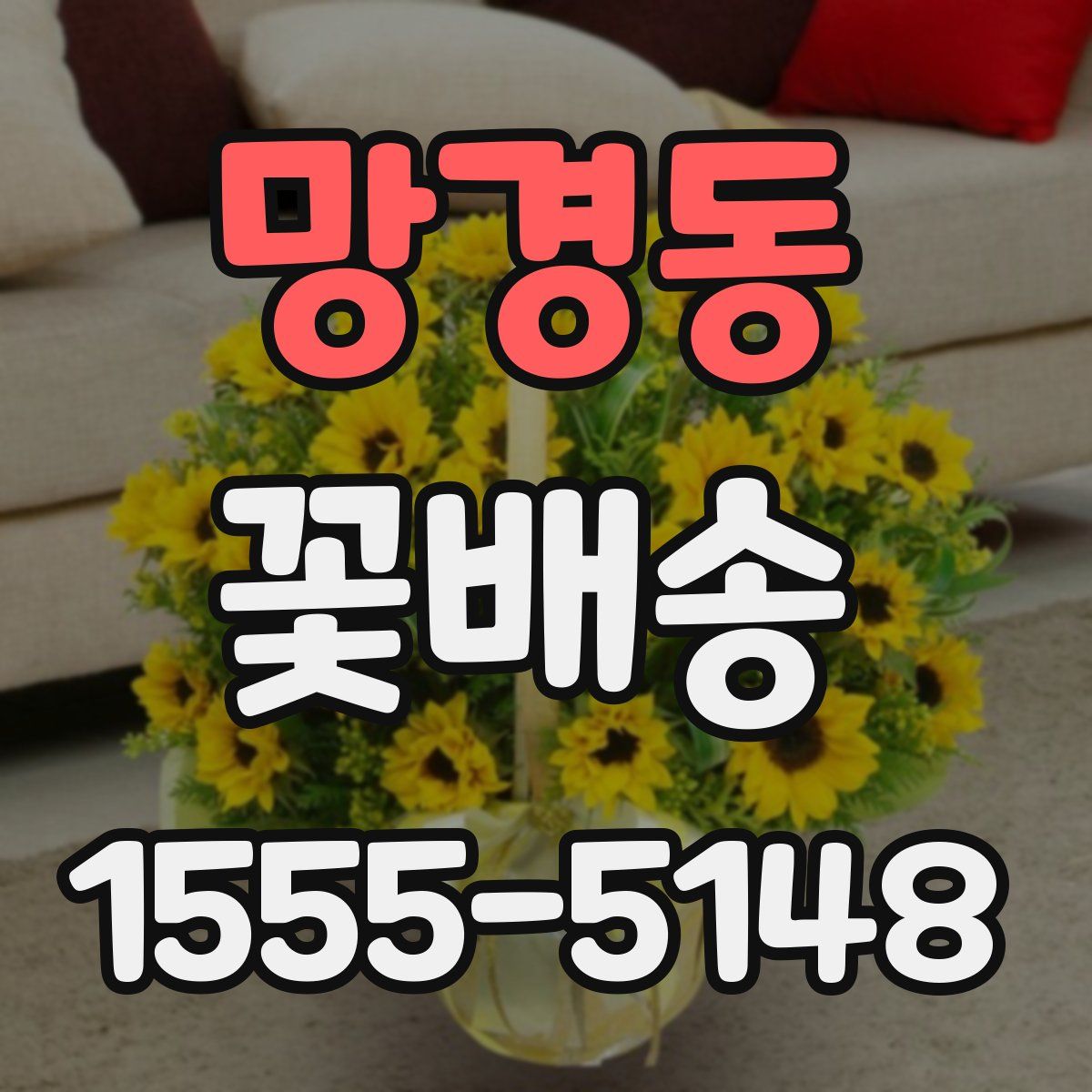 망경동 꽃배송