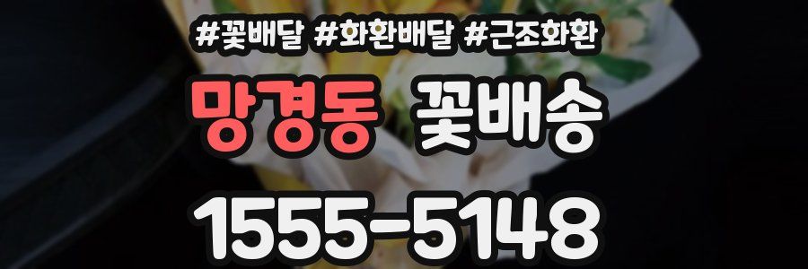 망경동 꽃배송