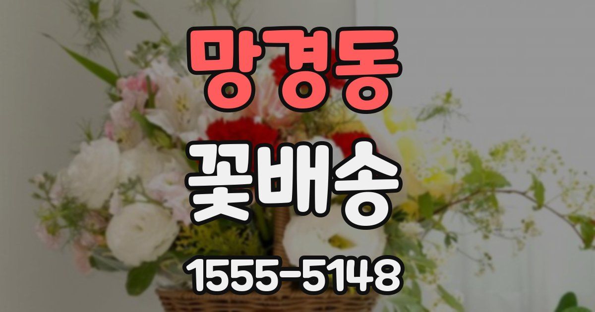 망경동 꽃배송