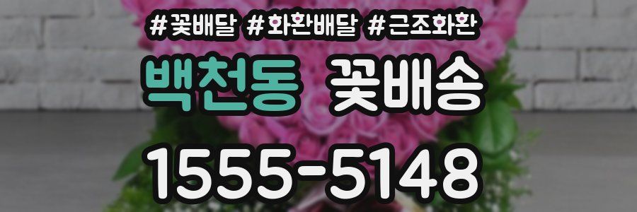 백천동 꽃배송