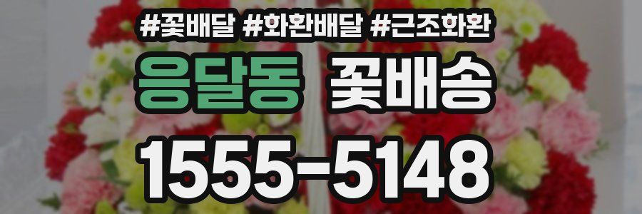 응달동 꽃배송