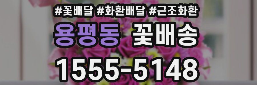 용평동 꽃배송