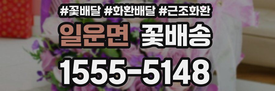 일운면 꽃배송