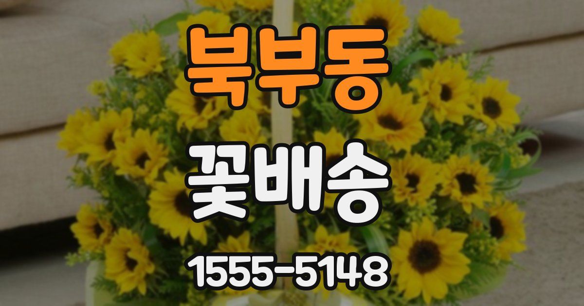 북부동 꽃배송