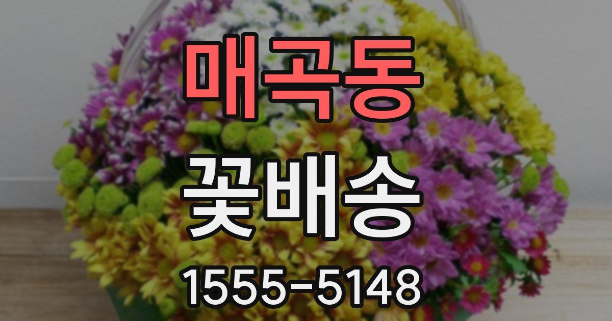 매곡동 꽃배송