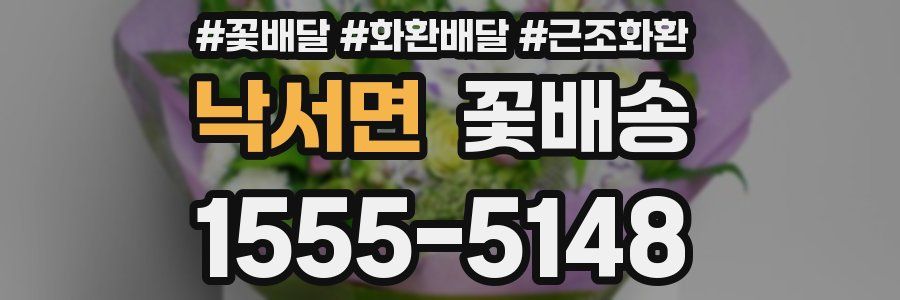 낙서면 꽃배송