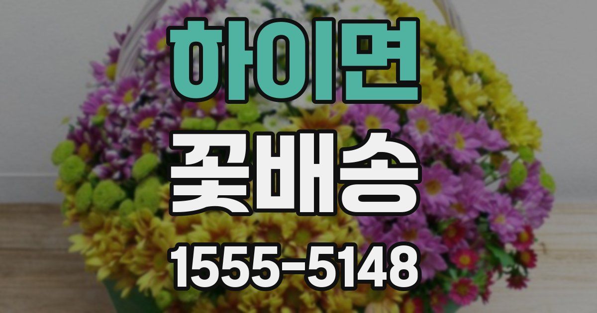 하이면 꽃배송