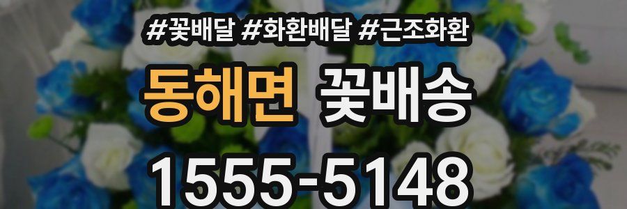 동해면 꽃배송