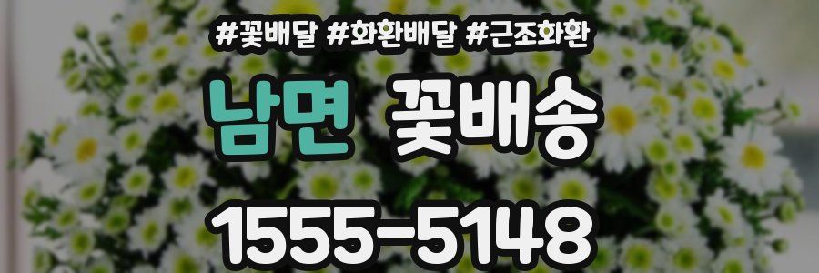남면 꽃배송