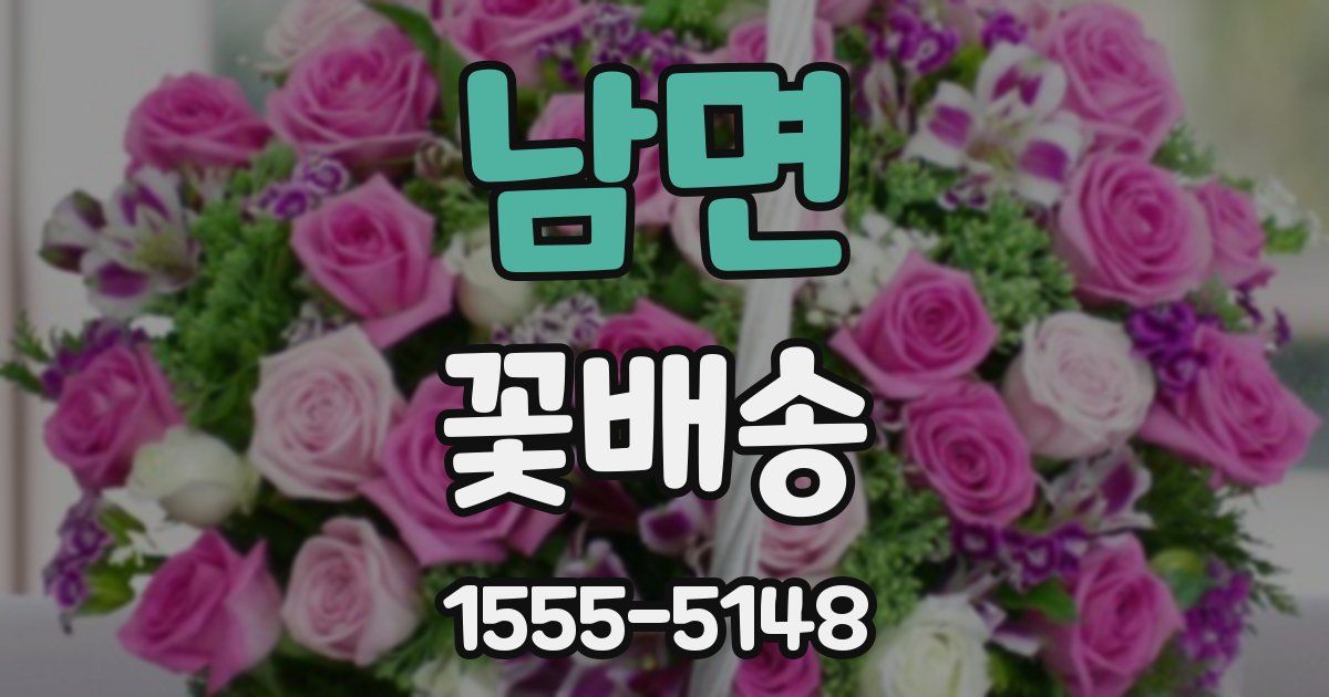 남면 꽃배송