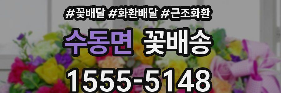 수동면 꽃배송