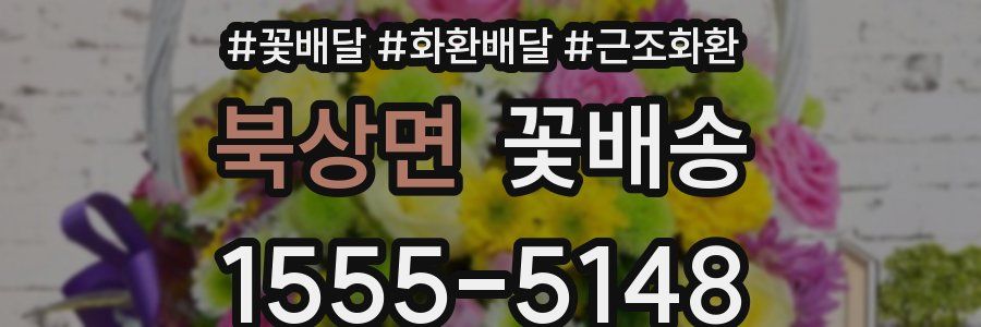 북상면 꽃배송