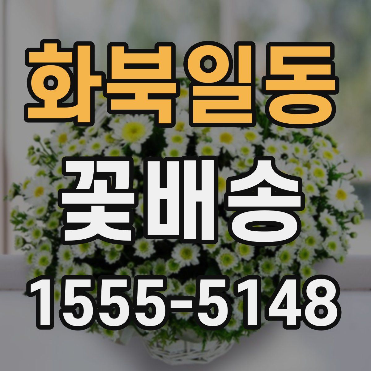 화북일동 꽃배송
