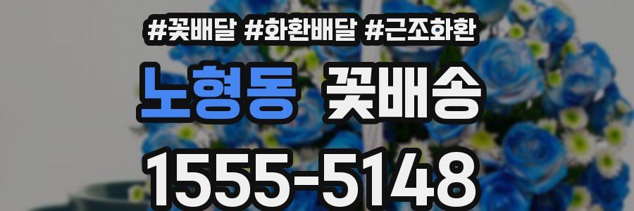 노형동 꽃배송