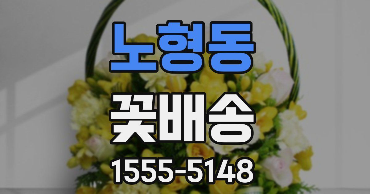 노형동 꽃배송