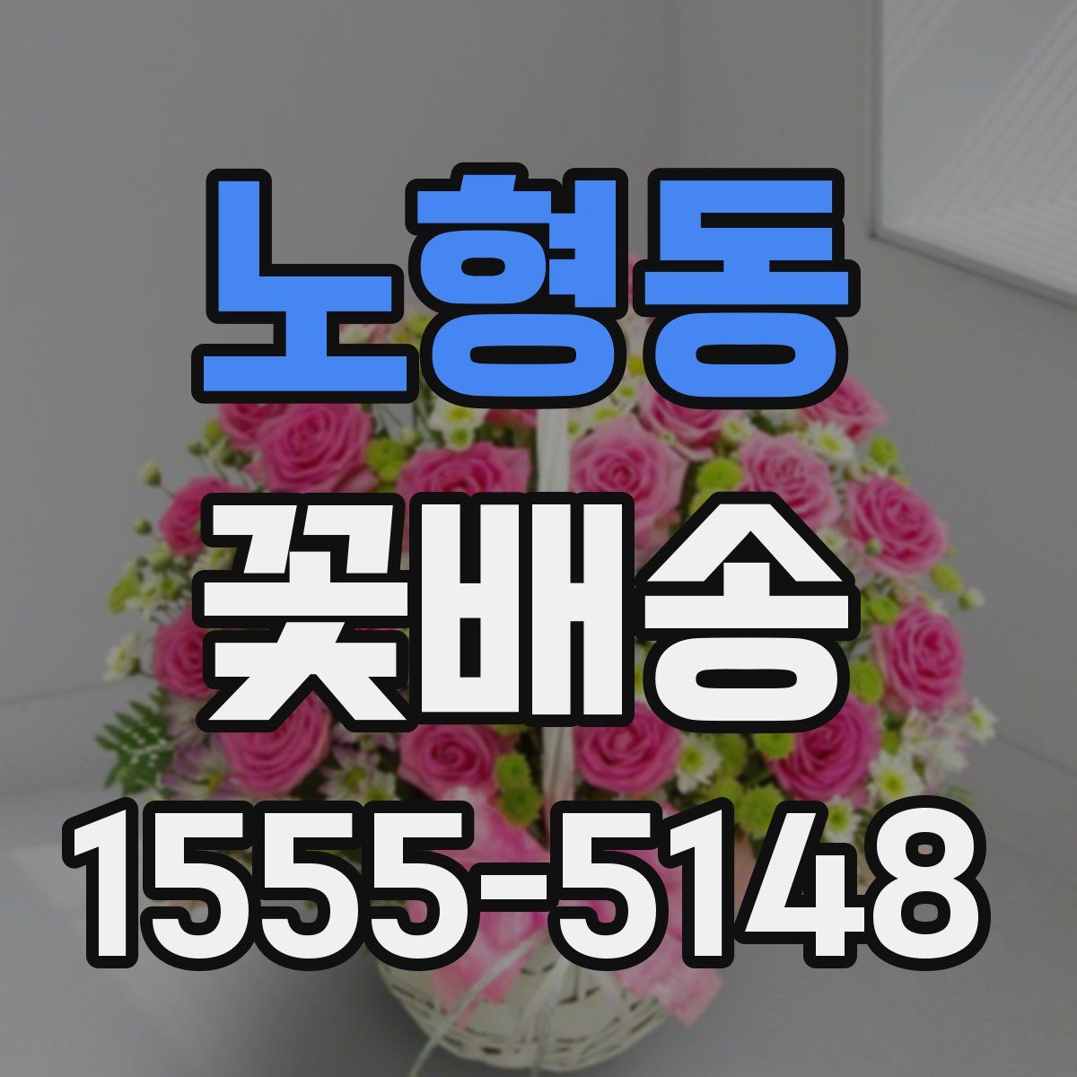 노형동 꽃배송