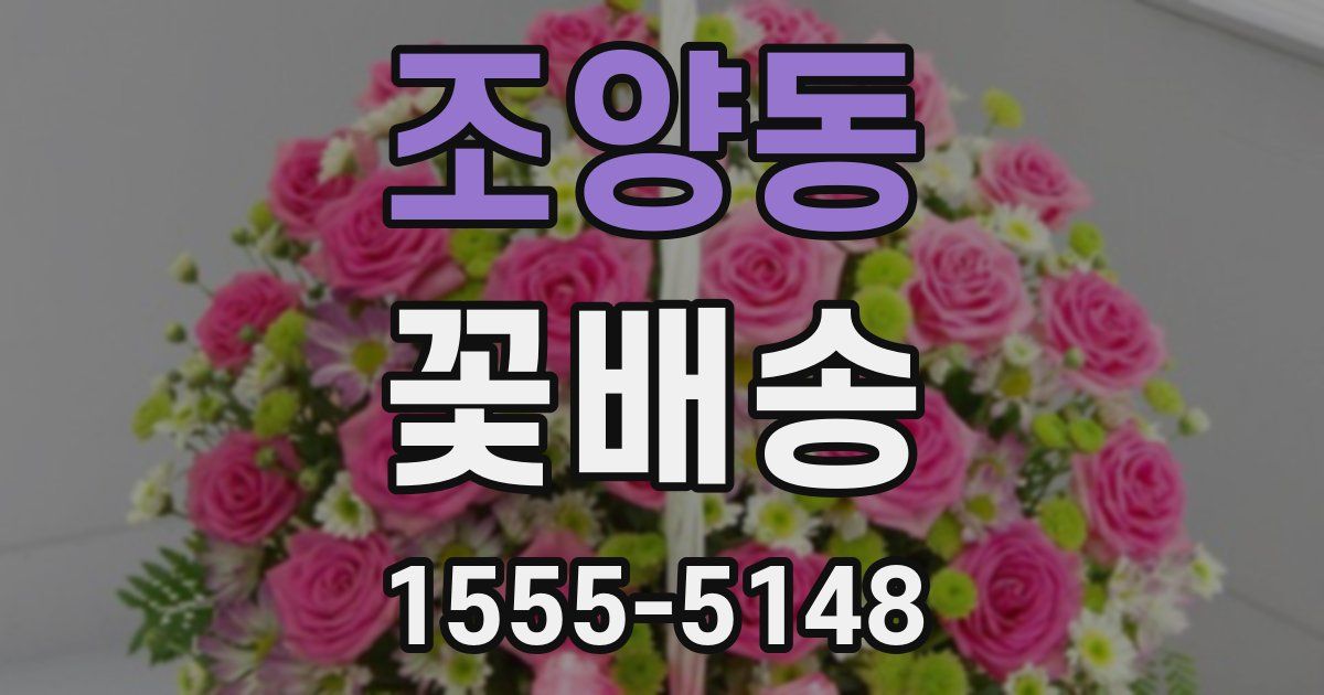 조양동 꽃배송
