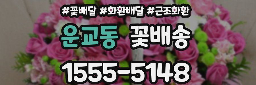 운교동 꽃배송