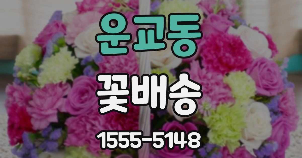 운교동 꽃배송