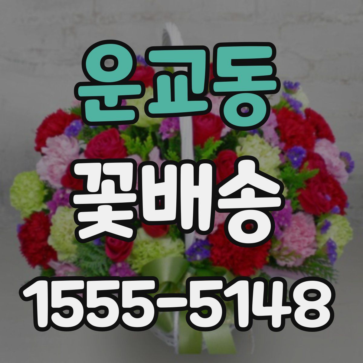 운교동 꽃배송