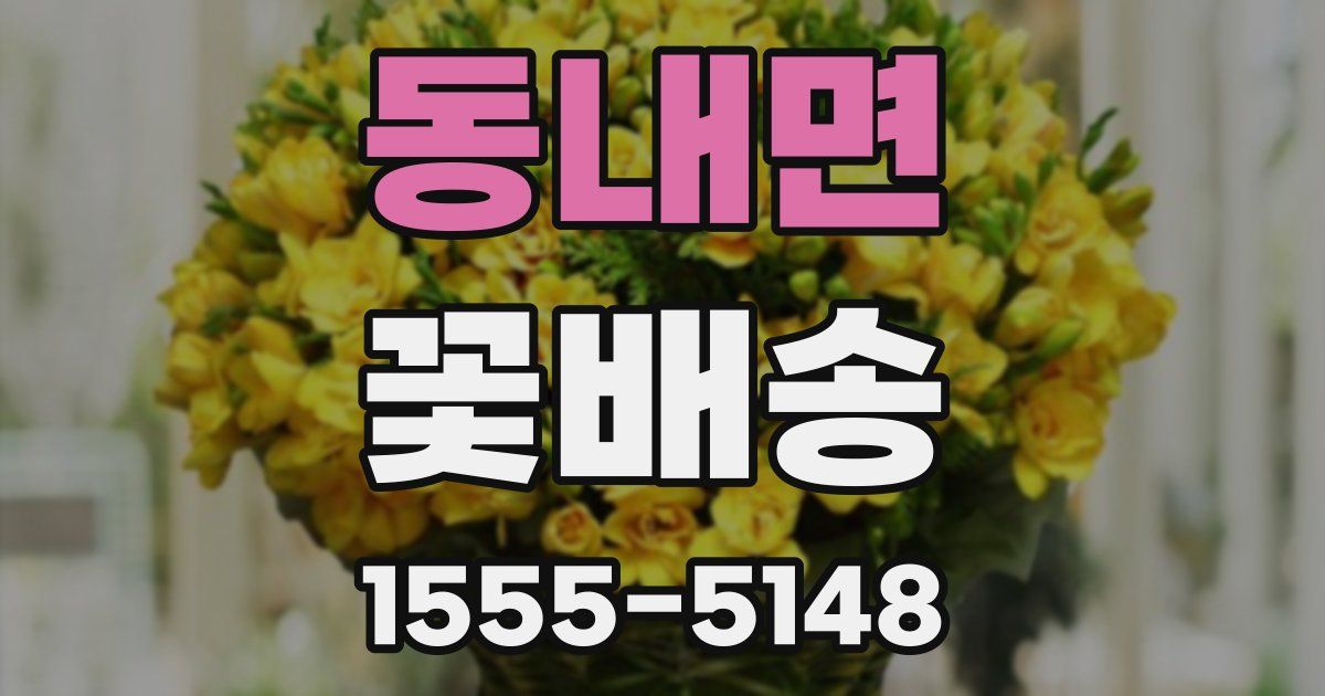 동내면 꽃배송
