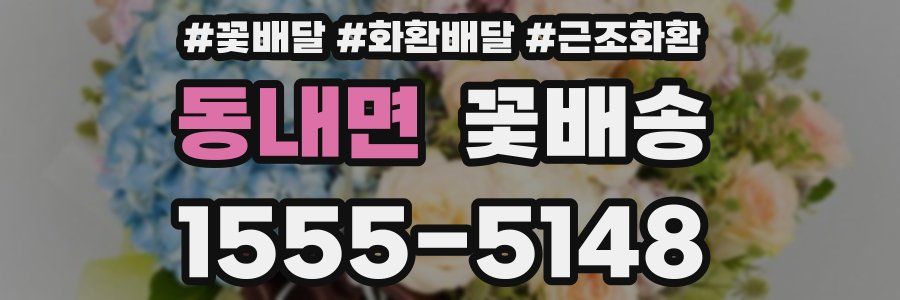 동내면 꽃배송