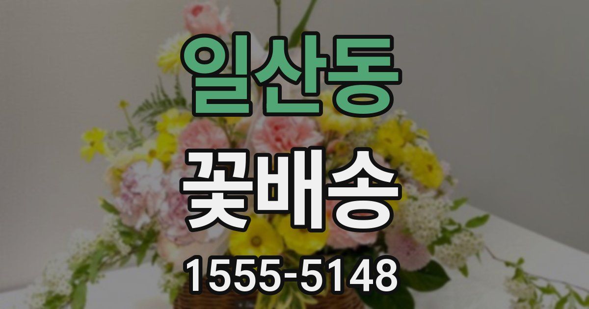 일산동 꽃배송