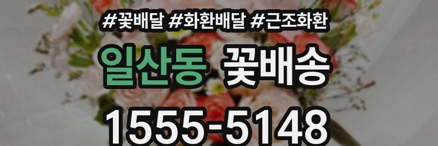 일산동 꽃배송