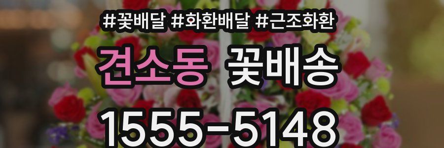 견소동 꽃배송