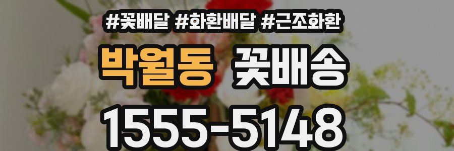 박월동 꽃배송