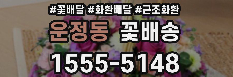 운정동 꽃배송