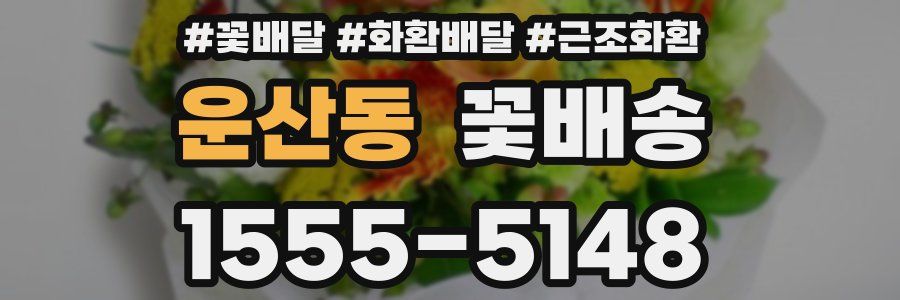 운산동 꽃배송