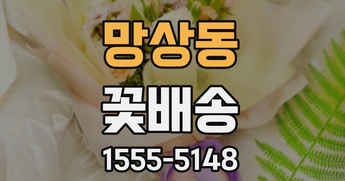 망상동 꽃배송