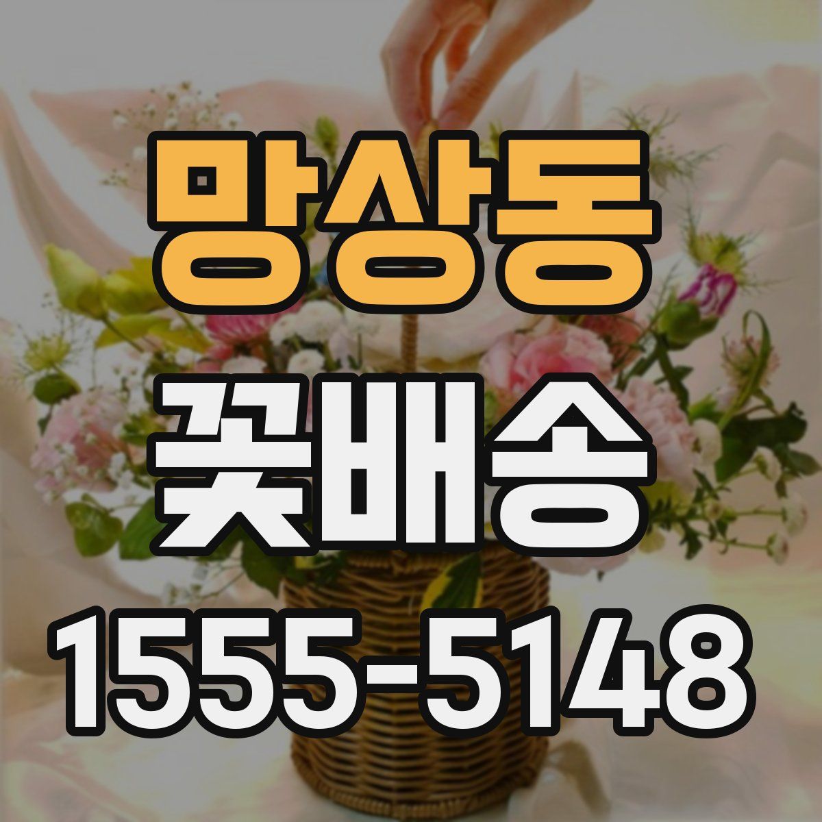 망상동 꽃배송