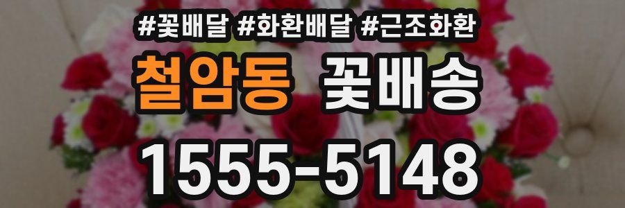 철암동 꽃배송