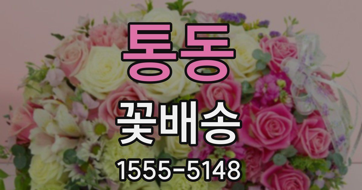 통동 꽃배송
